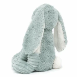 Les Déglingos - Les Ptipotos - Toudou Le Lapin Vert Menthe - Peluche 27 Cm -Magasin De Jouets les20deglingos2020les20ptipotos2020toudou20lapin20vert20menthe2020peluche202720cm 2
