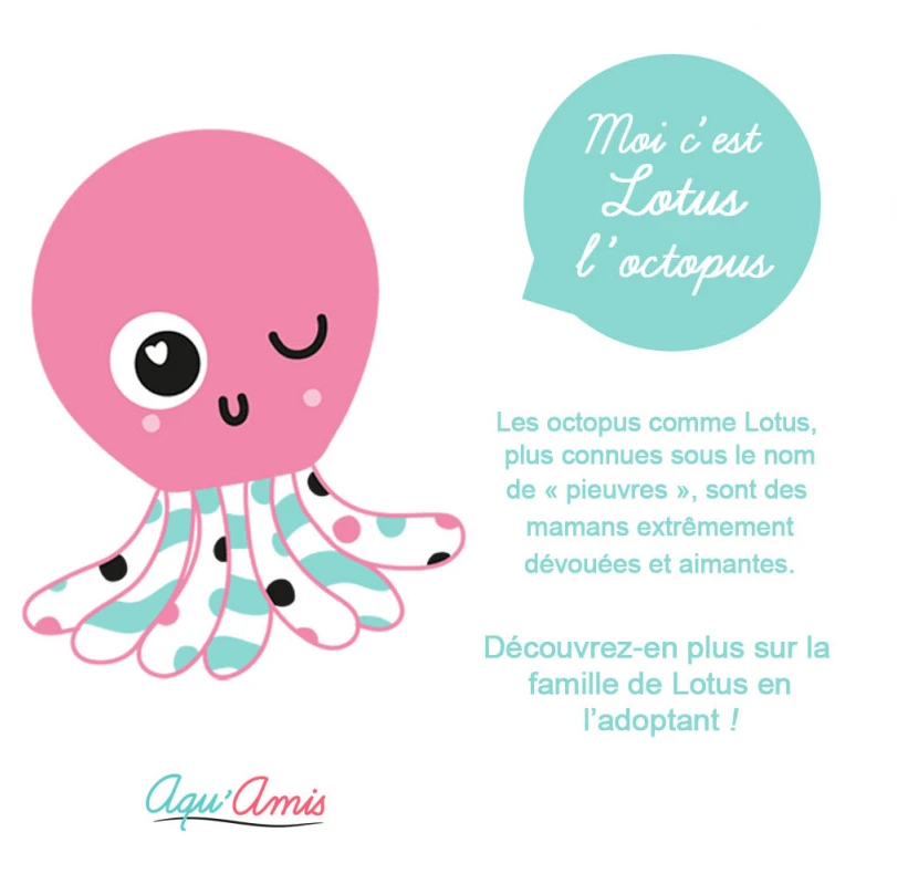 Pioupiou Et Merveilles - Aqu'Amis - Doudou Lotus La Pieuvre 20 Cm 5 Pioupiou Et Merveilles - Aqu'Amis - Doudou Lotus La Pieuvre 20 Cm – Image 3