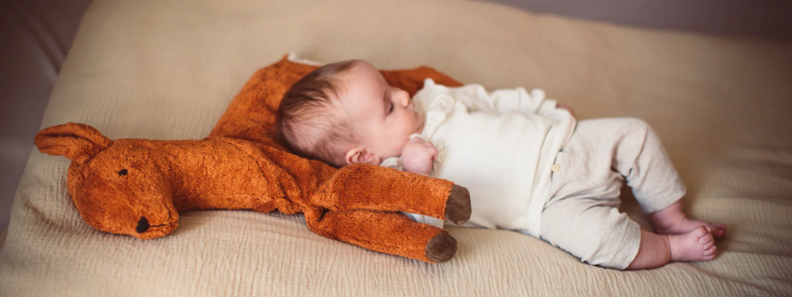 Magasin De Jouets -Magasin De Jouets Senger Naturwelt